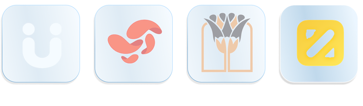 Original payment-method choices from the supplied IranBlu interface design.