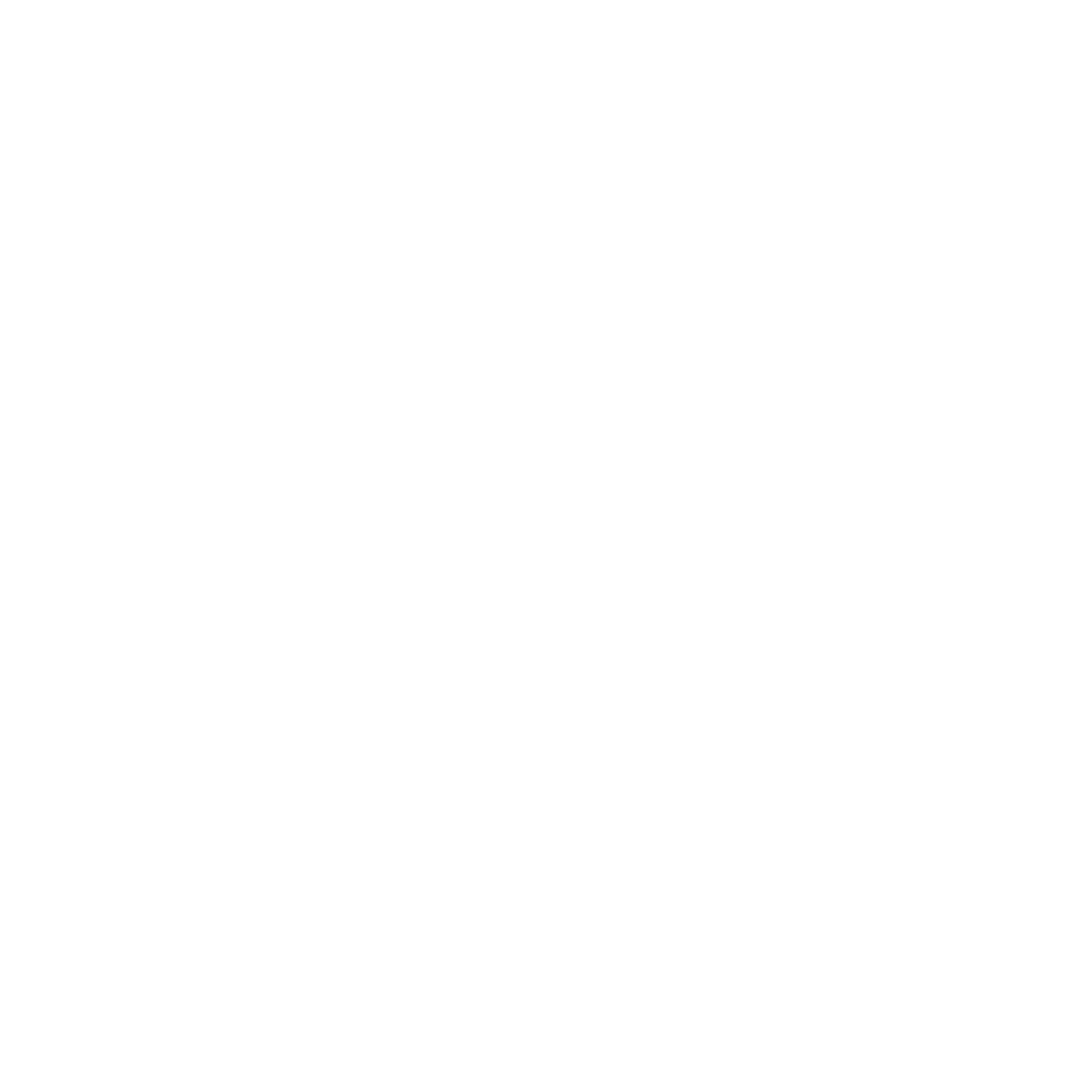 MyTonSwap logo